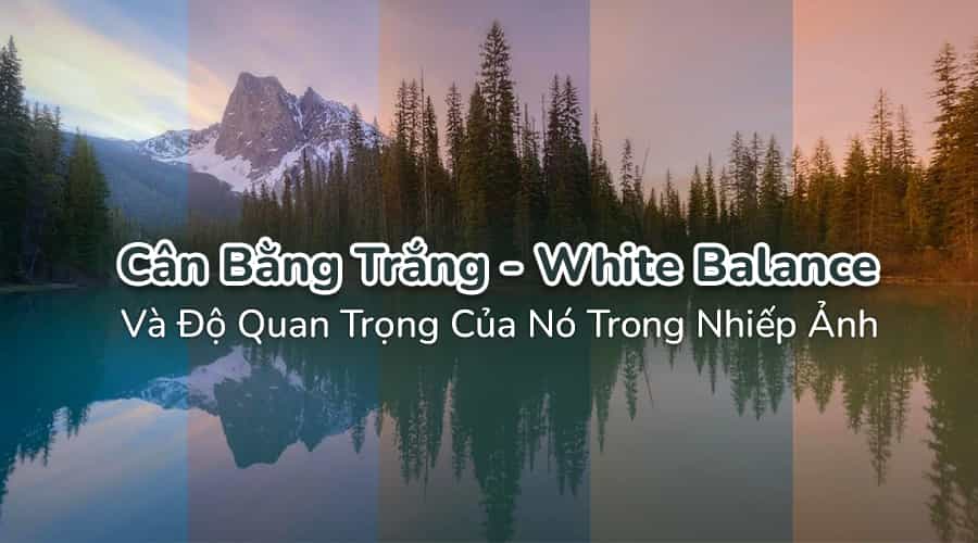 Cân Bằng Trắng - White Balance Và Độ Quan Trọng Của Nó Trong Nhiếp Ảnh