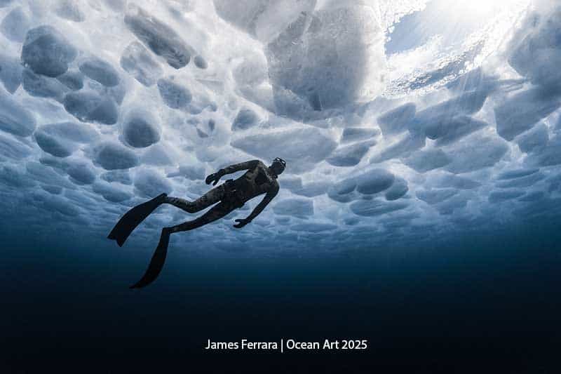 One Way Out - James Ferrara