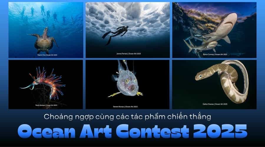 Choáng Ngợp Cùng Các Tác Phẩm Chiến Thắng Cuộc Thi Ocean Art Contest 2025