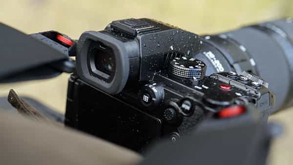 kính ngắm điện tử trên Panasonic Lumix S5 II được cải tiến đáng kể