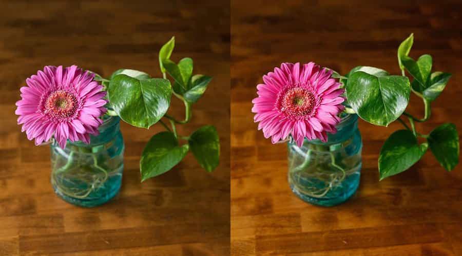 So sánh độ tương phản giữa tệp RAW và JPEG