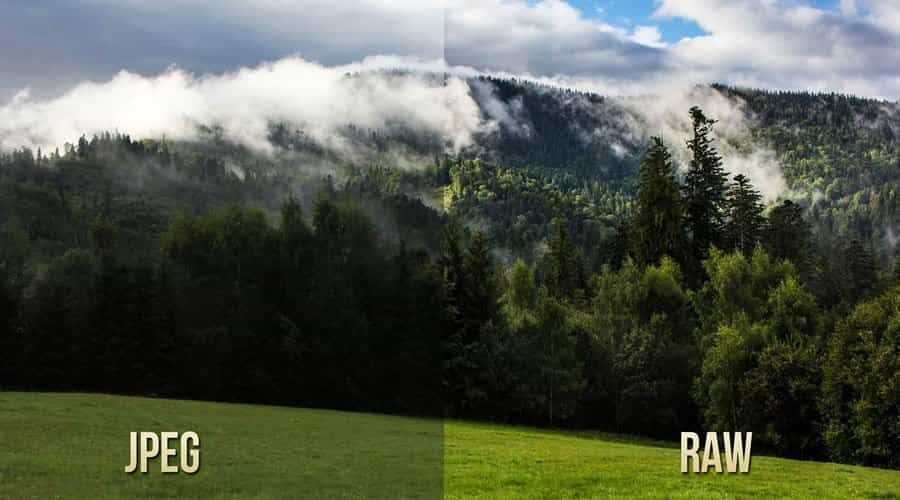 Tệp raw là gì? Phân Biệt Ảnh RAW Và JPEG? Đâu Là Định Dạng Phù Hợp Với Bạn?