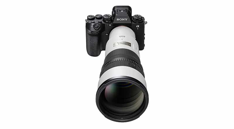 Những hình ảnh mới về Sony FE 600mm f/6.3 GM OSS