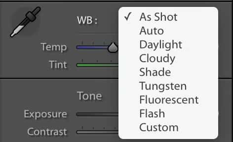 Thay đổi white balance trên máy ảnh nhanh chóng