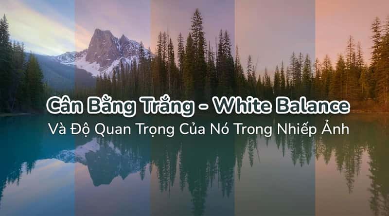 Cân Bằng Trắng - White Balance Và Độ Quan Trọng Của Nó Trong Nhiếp Ảnh