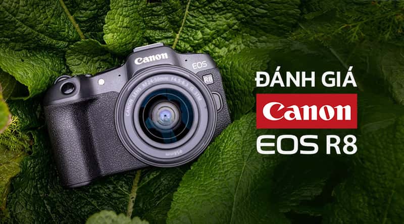 Review Canon EOS R8: Máy Ảnh Hybrid, Siêu Nhỏ Gọn Tốt Nhất Cho Người Mới?