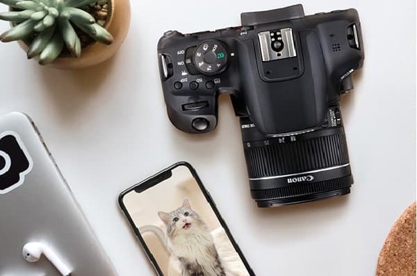 Canon EOS 850D sử dụng bộ kết nối Wifi và Bluetooth giúp kết nối mọi lúc mọi nơi