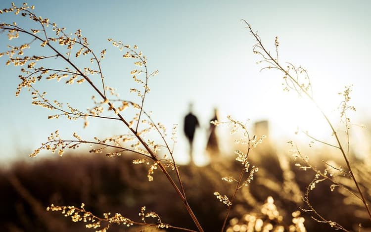 Nikon Z 40mm f/2 tạo ảnh bokeh đẹp mắt