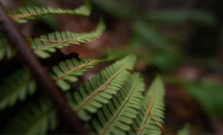 Ống kính Sony FE 16mm f/1.8 G sở hữu khẩu độ lớn f/1.8