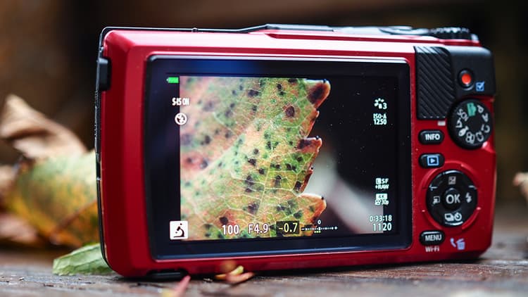 Màn hình LCD 3 inch trực quan