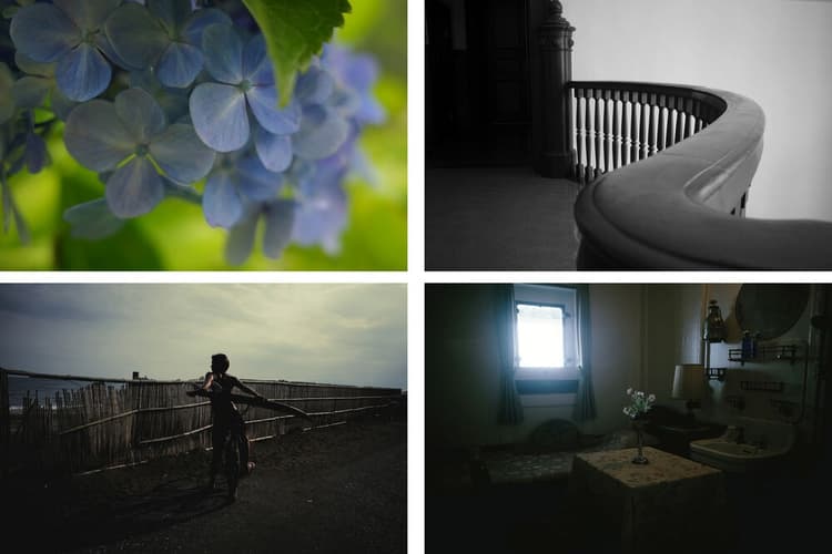 Ricoh GR IV trang bị 12 preset màu