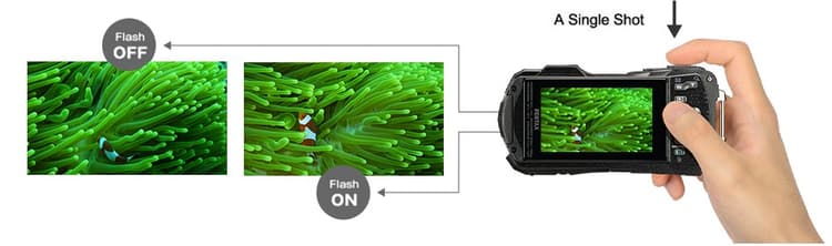 Chụp liên tiếp 2 ảnh với chế độ Tắt đèn flash + Bật đèn flash