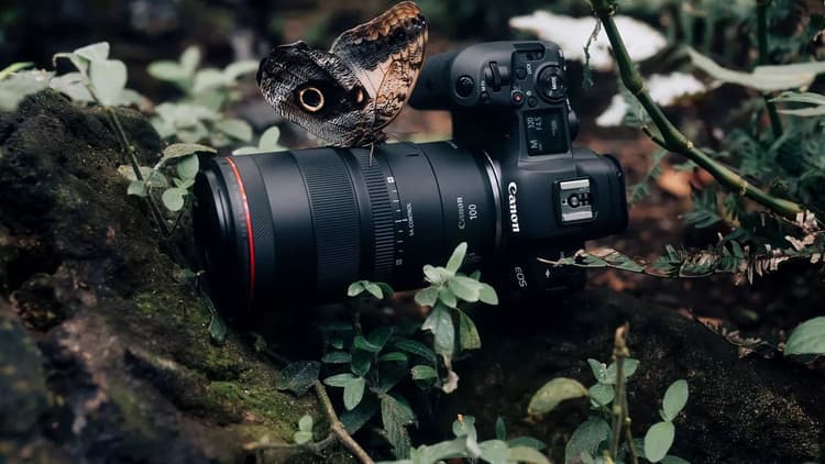 Tiêu cự cố định 100mm, khẩu độ rộng tối đa f/2.8 đảm bảo ánh sáng tốt