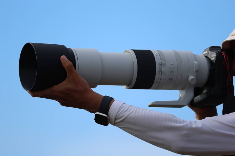 Canon RF 200-800mm f/6.3-9 IS USM