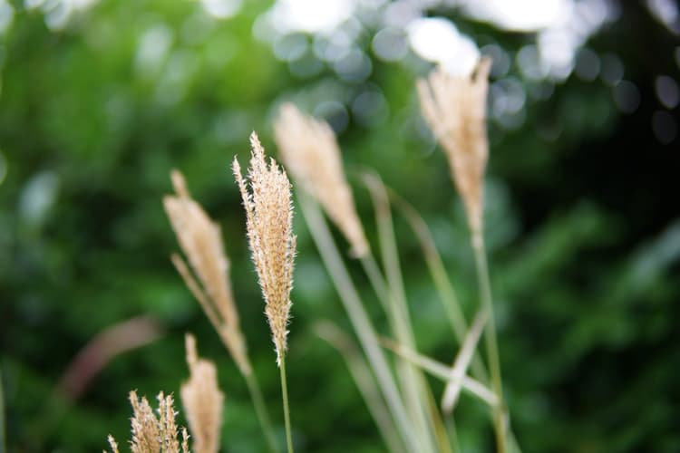 Khẩu độ tối đa f /1.4 của Sigma 30mm F1.4 DC DN giúp ống kính làm việc thuận lợi trong điều kiện ánh sáng yếu