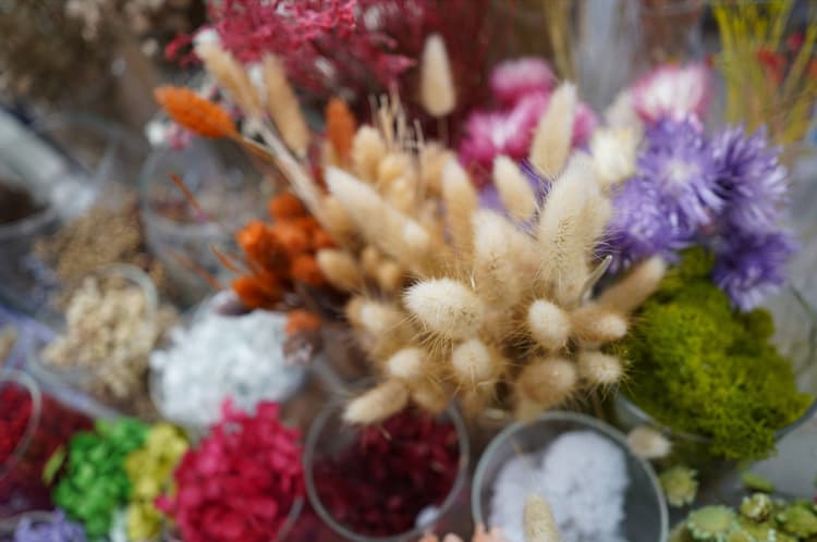 Sony FE 24mm f2.8 G - Hiệu ứng bokeh đẹp mắt