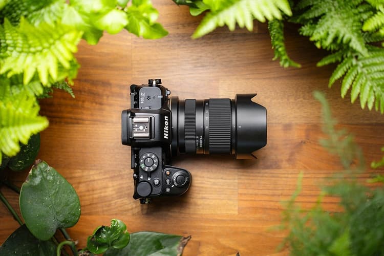Khẩu độ F2.8, bokeh mềm mại và hình ảnh sắc nét
