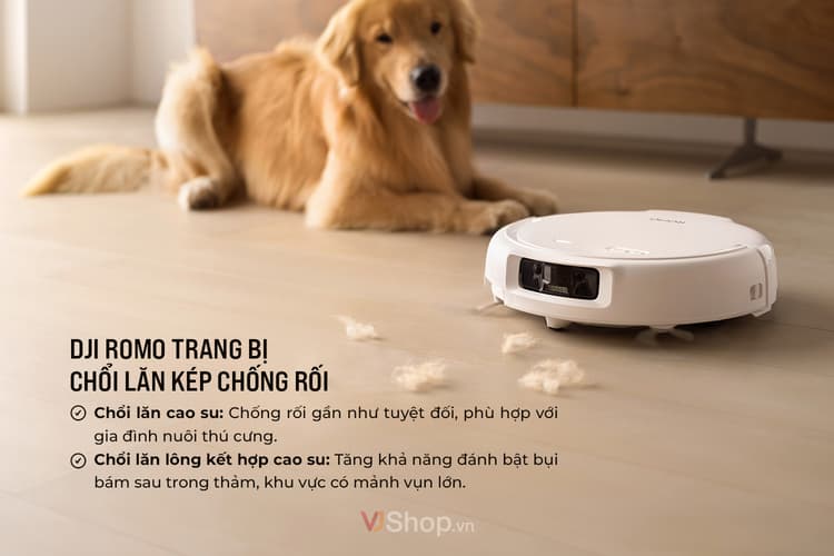 Chổi lăn kép chống rối