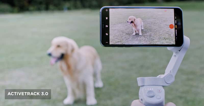 DJI OM 4 theo dõi động vật