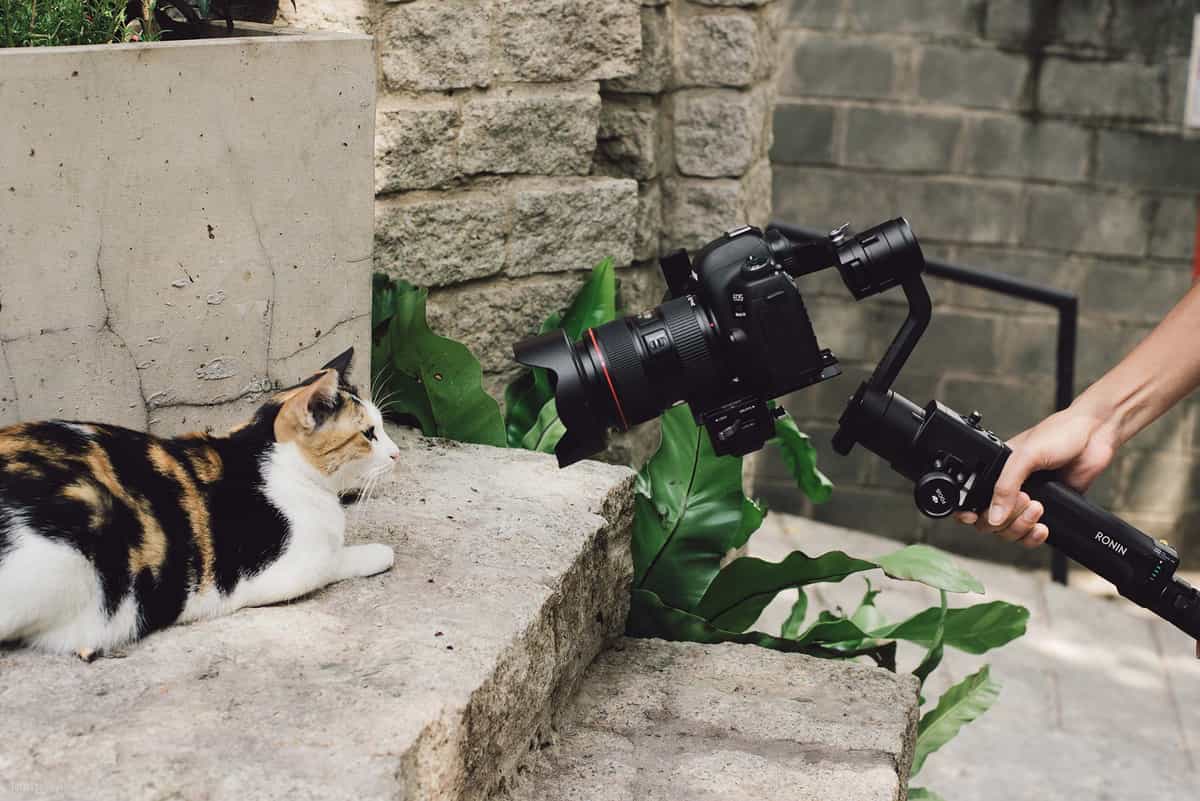 Cách sử dụng Gimbal hiệu quả