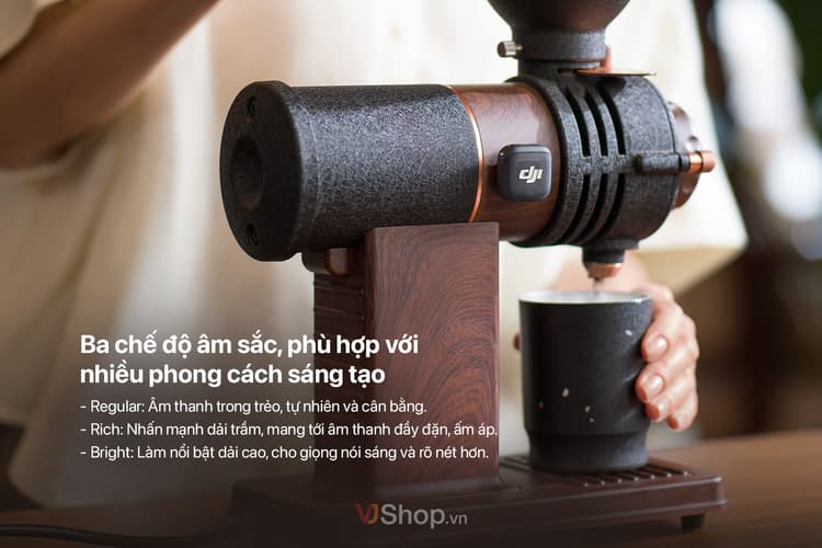 Tích hợp 3 presets giọng nói có sẵn