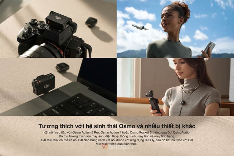 DJI Mic Mini tương thích đa thiết bị