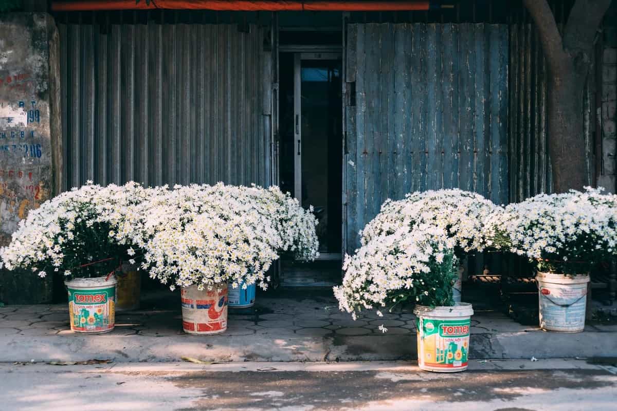 Kiểm tra thông số và bối cảnh trước khi chụp