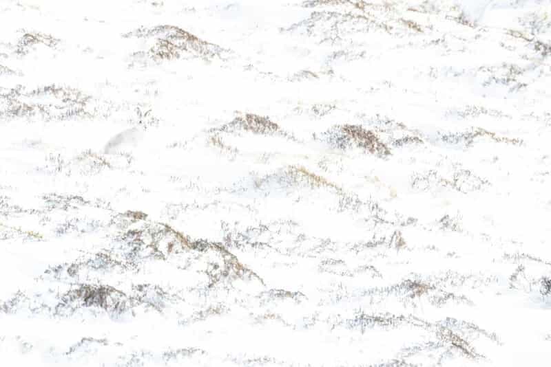 Hạng mục Habitat, Á quân “Winter Touch”
