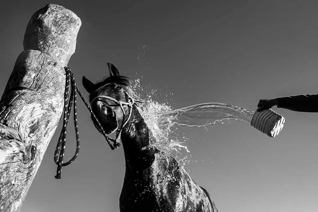 Shower Time - Lucas Pereira