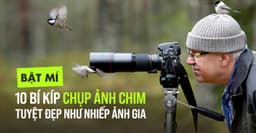 This is post image