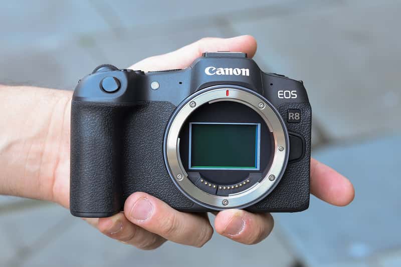 Canon EOS R8 là lựa chọn cực kỳ hợp lý
