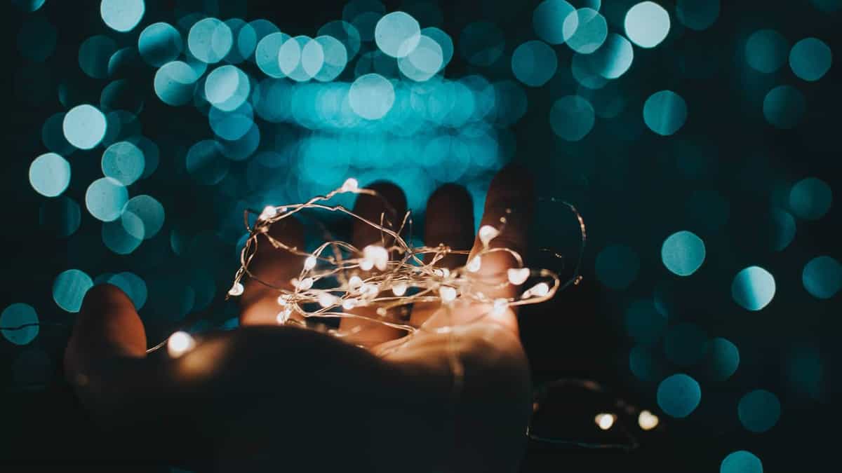 Chụp ảnh bokeh đẹp - Sử dụng ống kính có tiêu cự dài