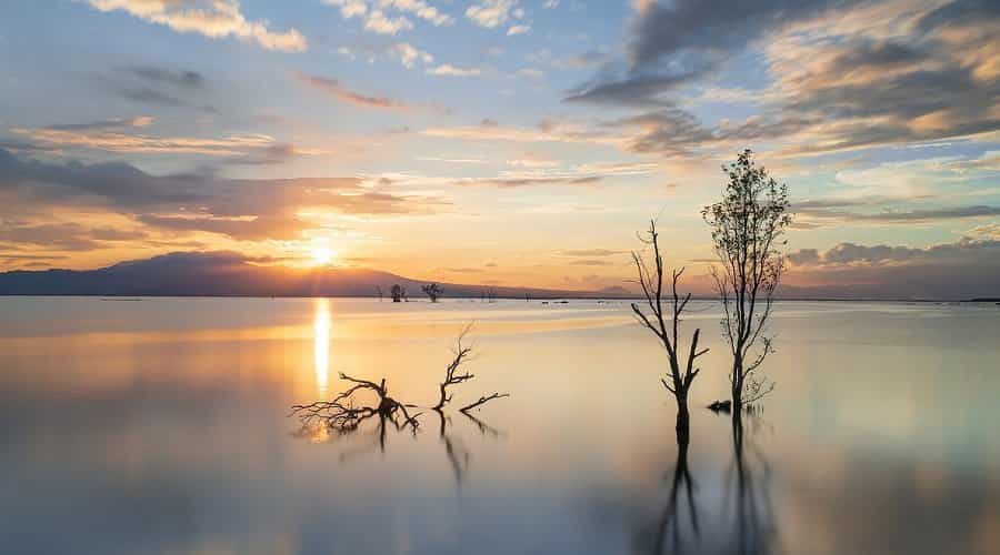 Hướng dẫn chụp phơi sáng dài từng bước