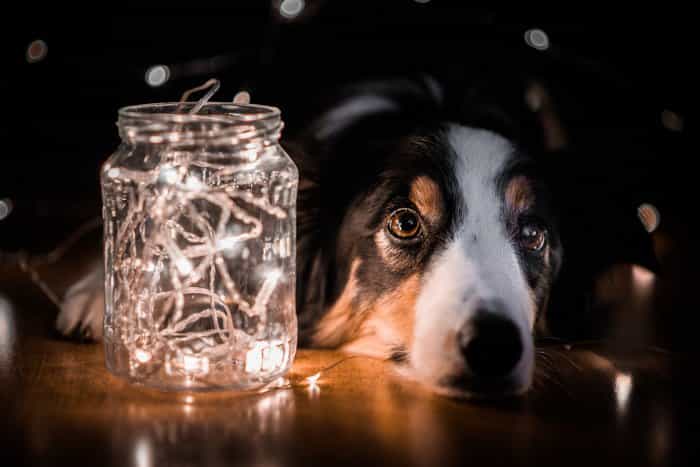 Fill Lighting là kỹ thuật sử dụng nguồn sáng phụ tạo độ cân bằng phơi sáng