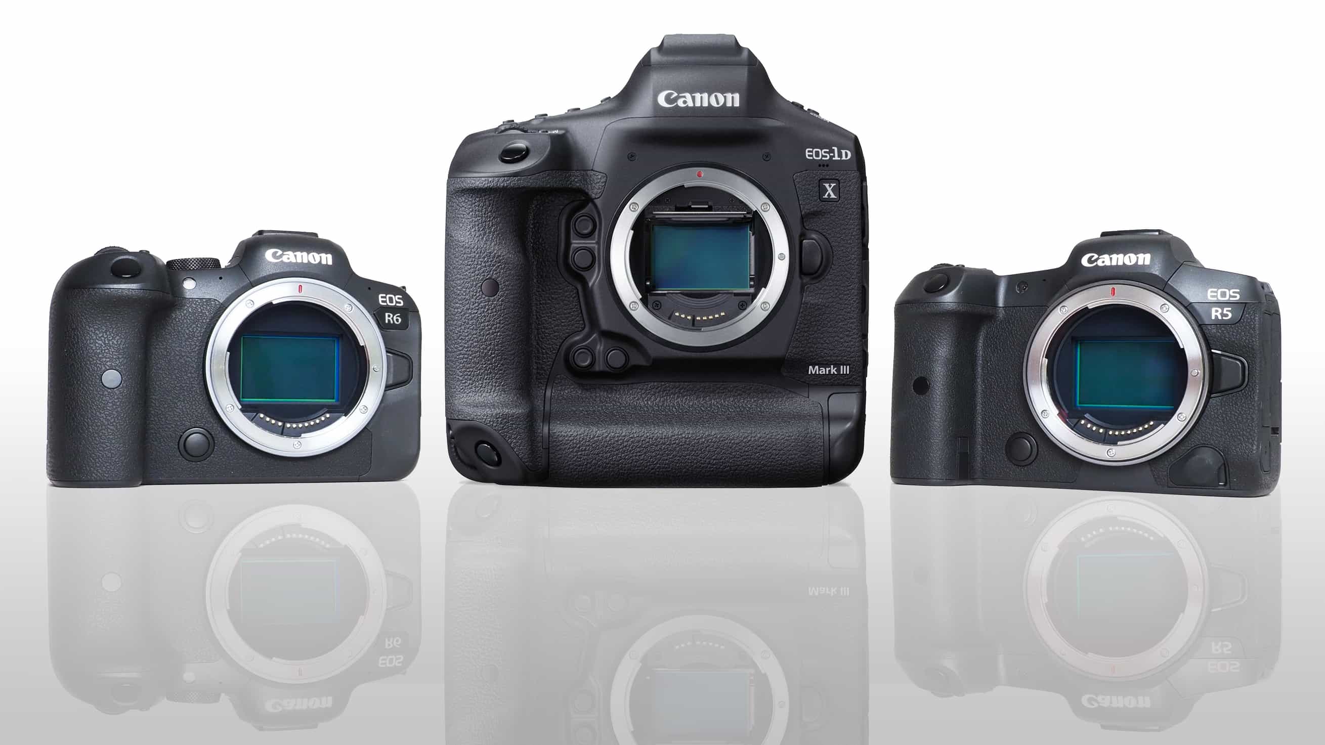 Canon EOS R5/R6/1D X Mark III cập nhật firmware, tăng hiệu suất lấy nét nhanh