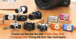 This is post image