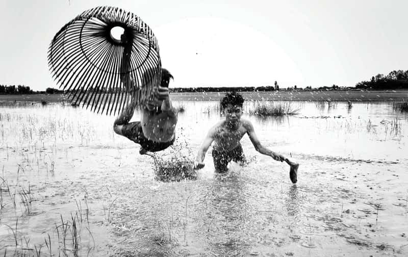 Net Fish in Water Fields