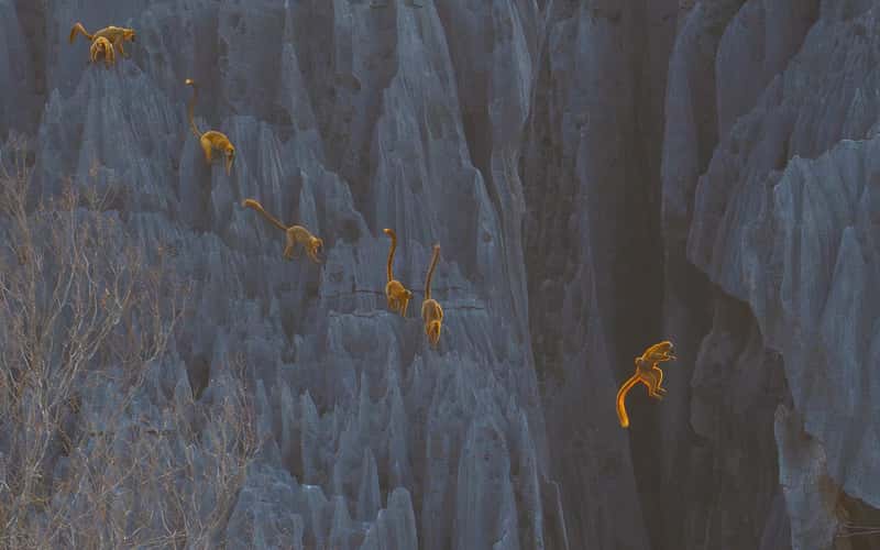"Leap of Faith" - Bức ảnh đoạt giải Grand Prize tại cuộc thi BigPicture 2025