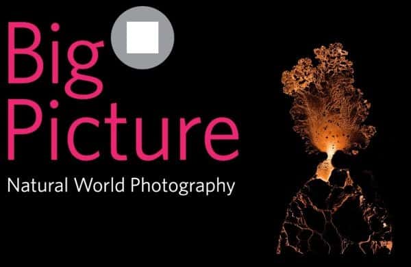 Cuộc thi Nhiếp ảnh thiên nhiên BigPicture 2025