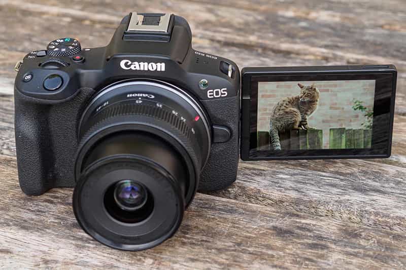 DSLR cao cấp đời trước có thể là khoản đầu tư rất “hời”