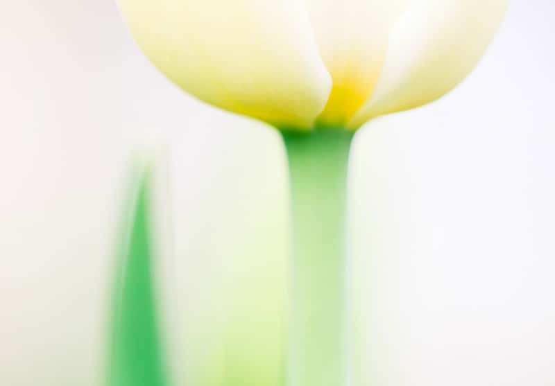 Sử dụng khẩu độ lớn để tạo hiệu ứng bokeh