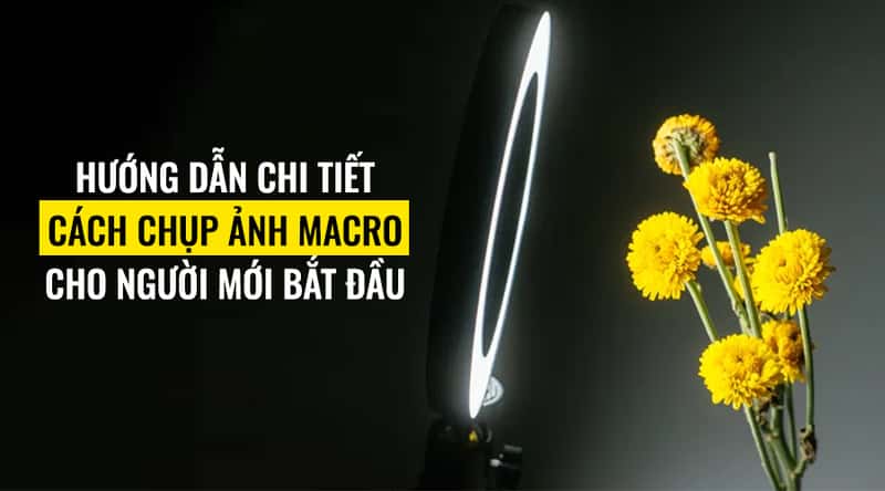 Hướng Dẫn Cách Chụp Ảnh Macro Cho Người Mới Bắt Đầu
