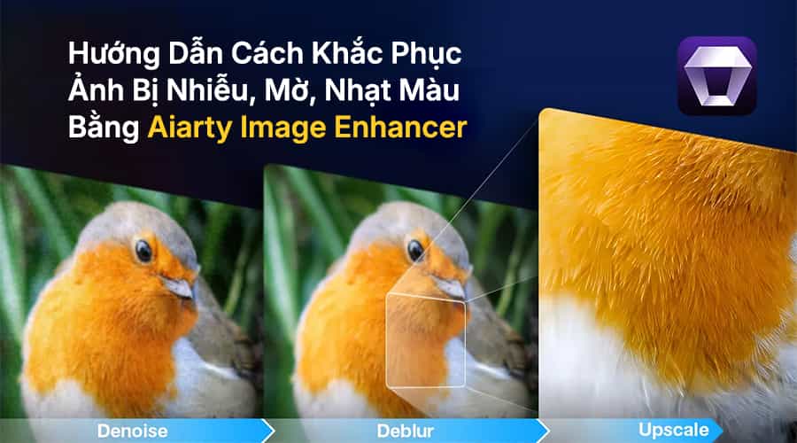 Hướng Dẫn Cách Khắc Phục Ảnh Bị Nhiễu, Mờ, Nhạt Màu Bằng Aiarty Image Enhancer