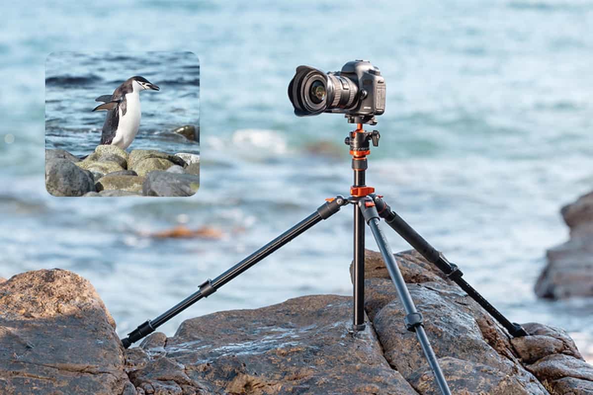 Tripod cũng có một số hạn chế đáng cân nhắc