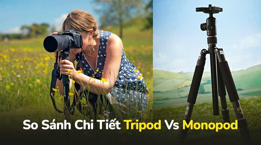 Nên Dùng Tripod Hay Monopod? Đâu Là Loại Chân Máy Tốt Nhất Cho Bạn?