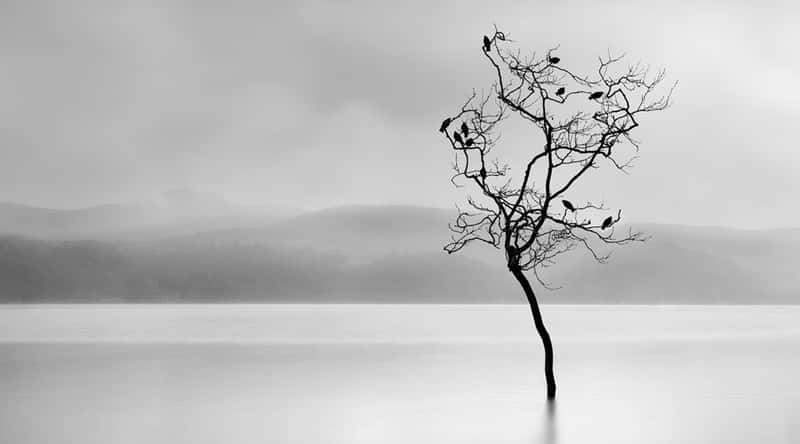 Nhiếp Ảnh Nghệ Thuật - Fine Art Photography Là Gì?