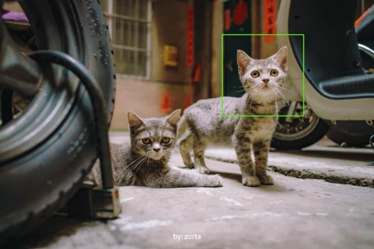 7Artisans AF 18mm F2.0 Lite lấy nét tự động nhanh chóng