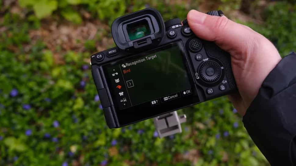 A7R VI có thể nhận diện đa dạng đối tượng