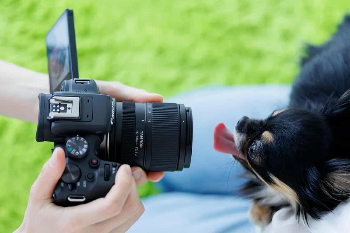 Tamron 16-50mm F2.8 phù hợp với nhiều thể loại nhiếp ảnh