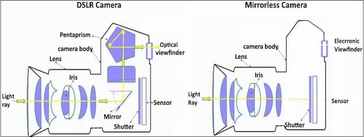 So sánh DSLR và Mirrorless - Cách hoạt động khác nhau